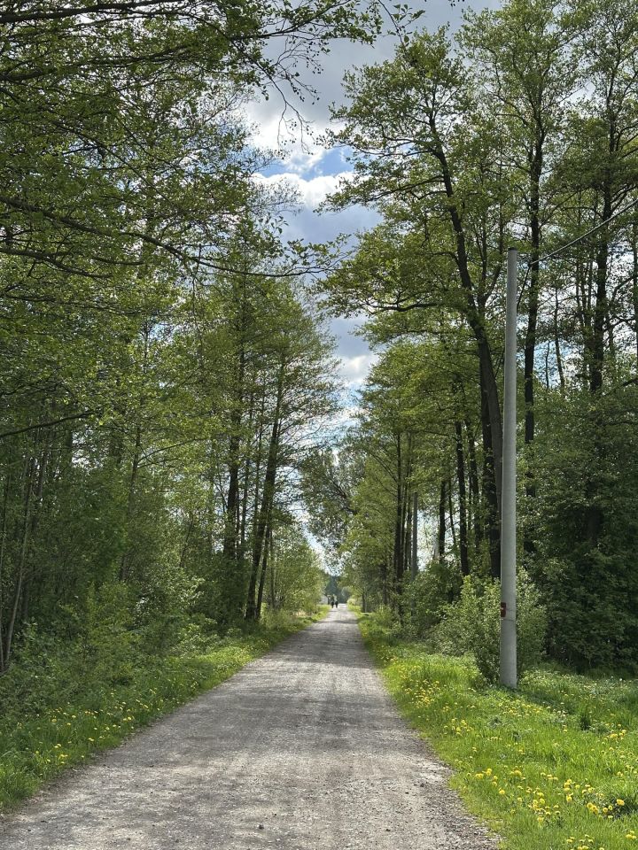 Działka rolno-budowlana Żeliszew Duży. Zdjęcie 5