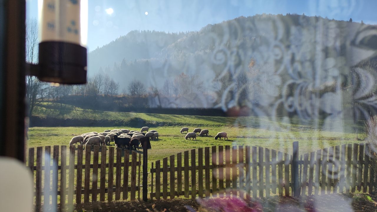 budynek wielorodzinny, 14 pokoi Szczawnica, ul. Szlachtowska. Zdjęcie 3