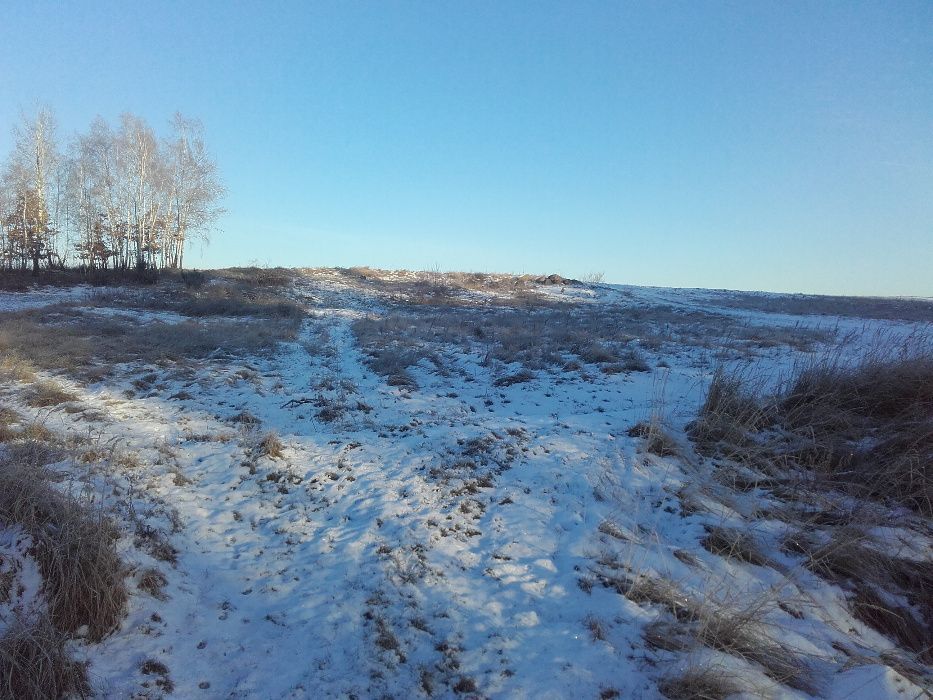 Działka inwestycyjna Kotulin. Zdjęcie 4