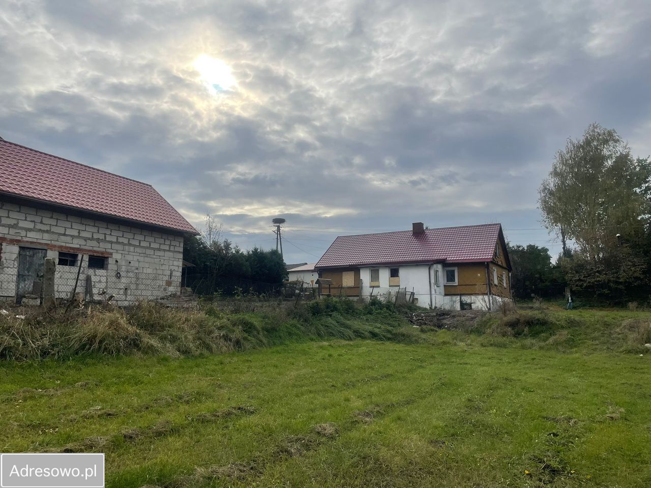 siedlisko Jaszczów. Zdjęcie 5