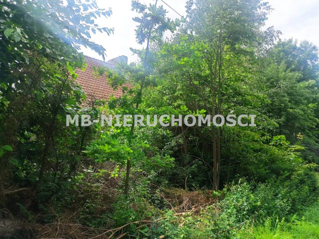 Działka rolna Ramsowo. Zdjęcie 6