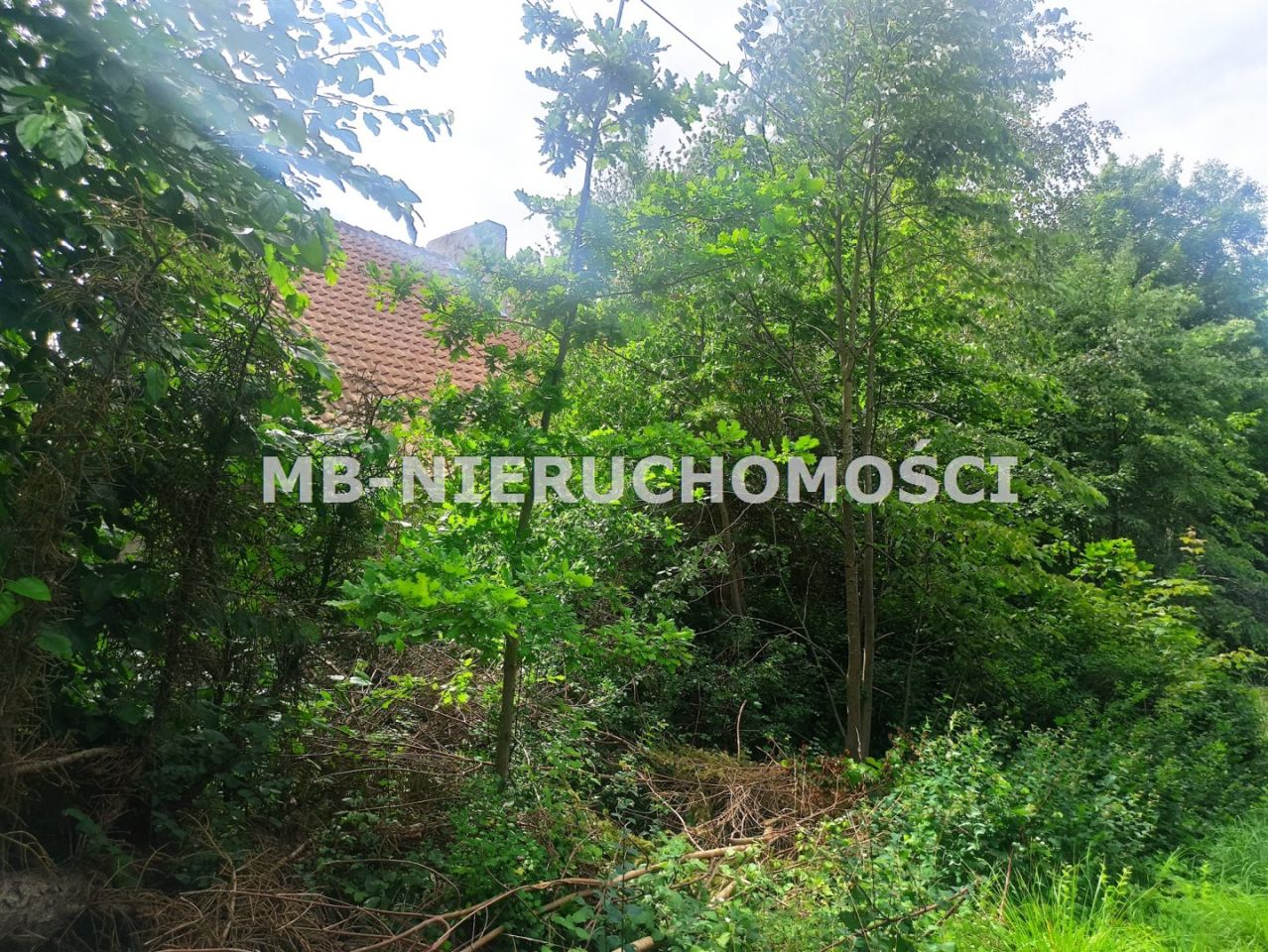 Działka rolna Ramsowo. Zdjęcie 6