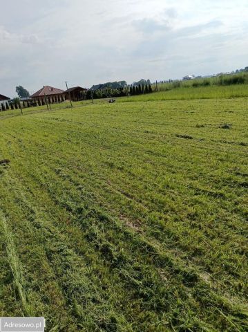 Działka budowlana Rochaliki. Zdjęcie 1