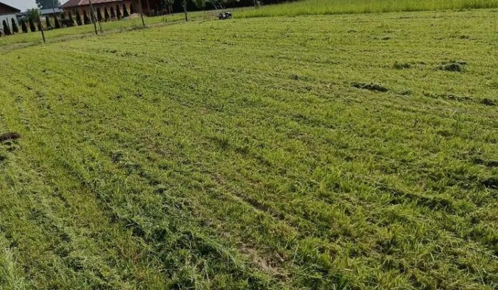 Działka budowlana Rochaliki