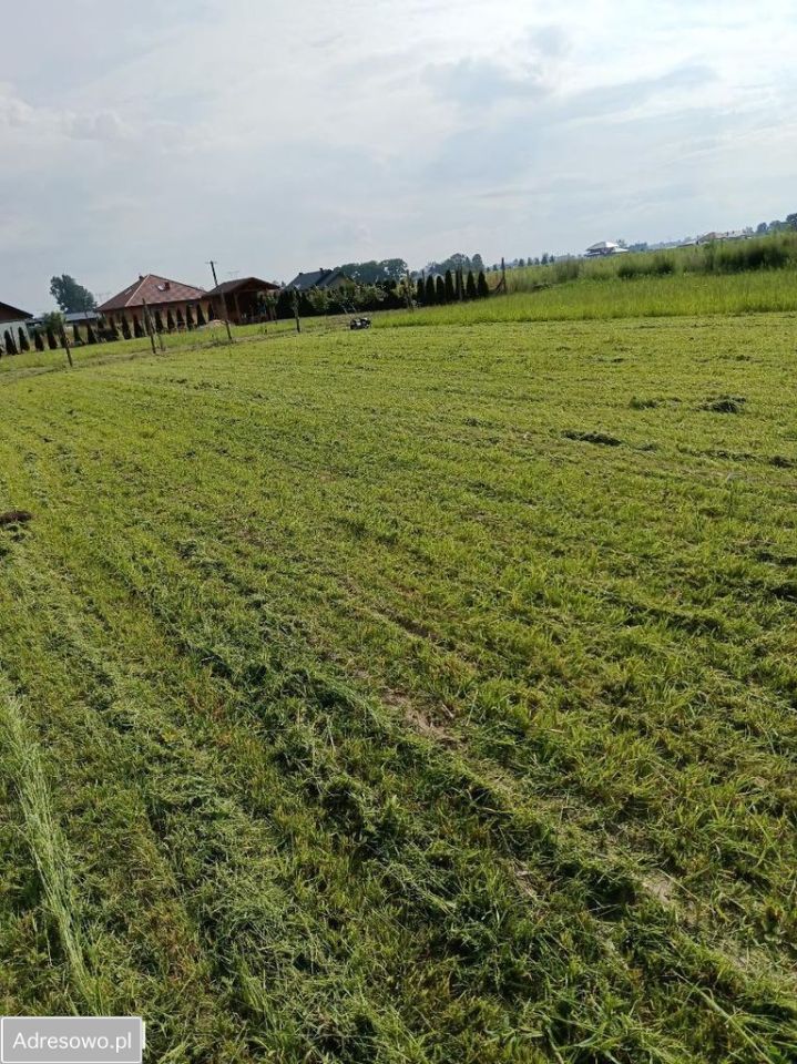 Działka budowlana Rochaliki. Zdjęcie 1