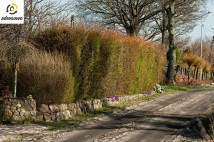 gospodarstwo Leszczyn. Zdjęcie 4