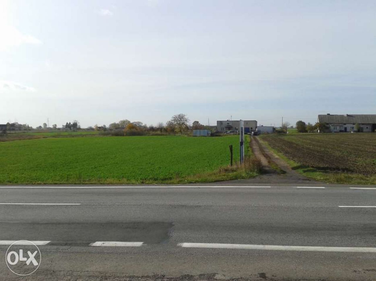 Działka rolna Grzywna. Zdjęcie 4