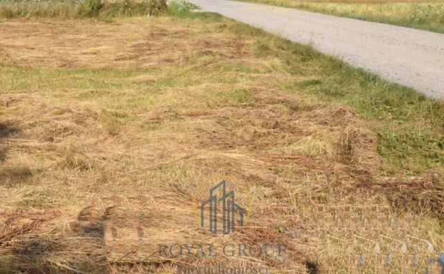 Działka siedliskowa Siedliska. Zdjęcie 5