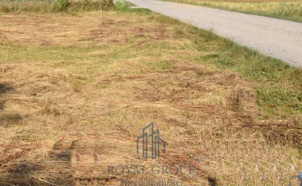 Działka siedliskowa Siedliska. Zdjęcie 5