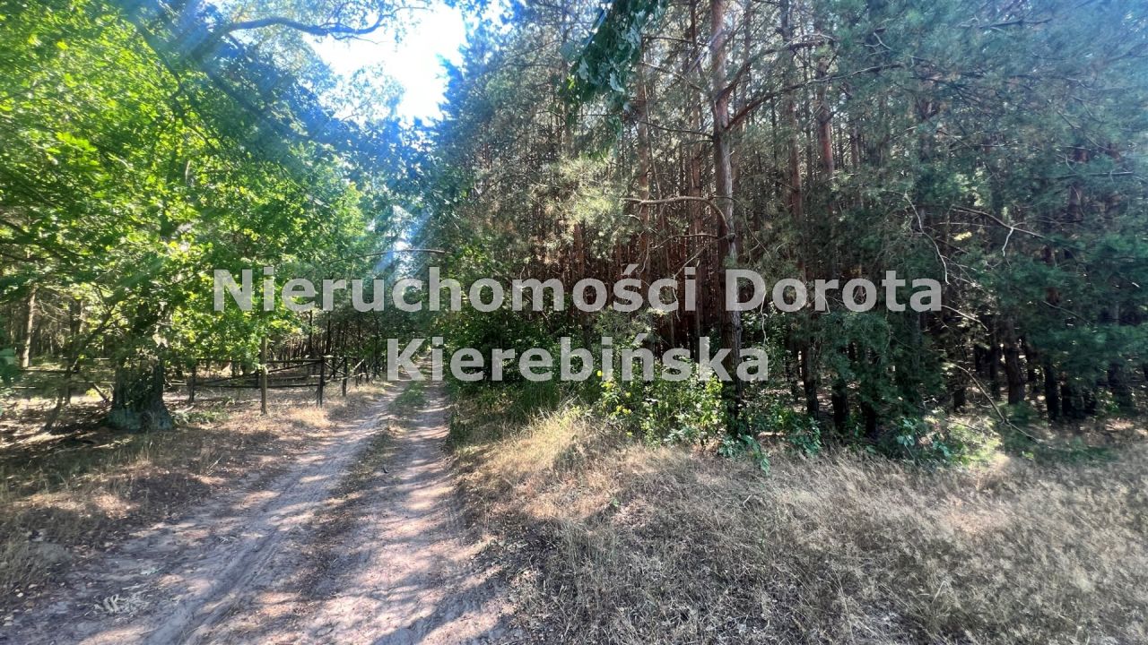 Działka rolna Wale. Zdjęcie 6