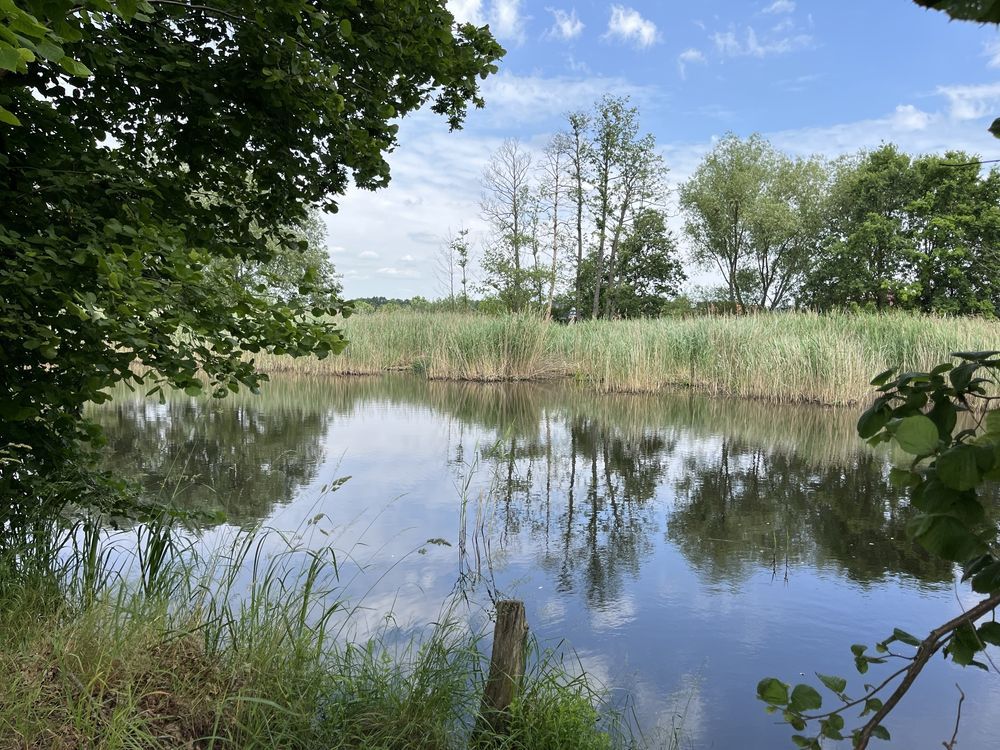 Działka budowlana Piskorzowice. Zdjęcie 4