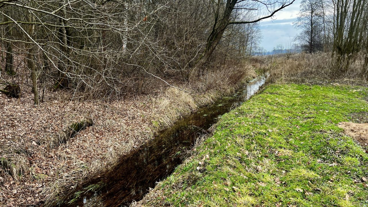 Działka rolno-budowlana Rysie. Zdjęcie 4