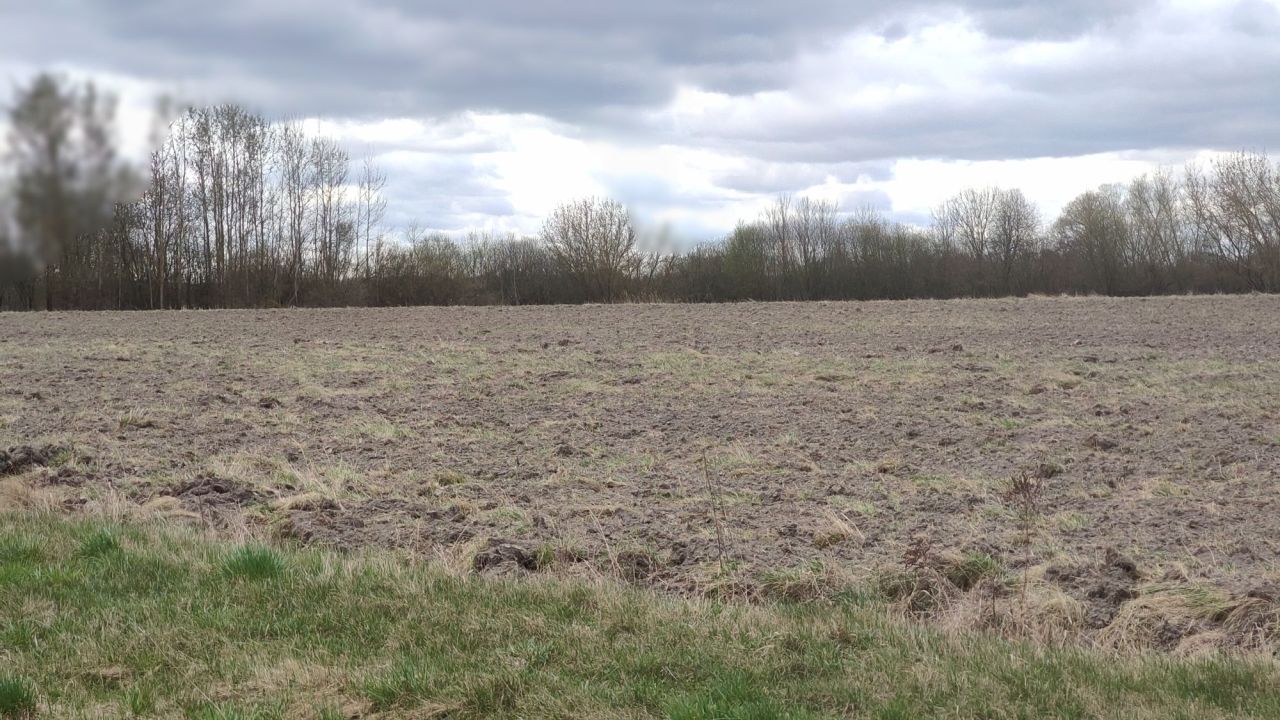 Działka budowlana Wytyczno. Zdjęcie 4