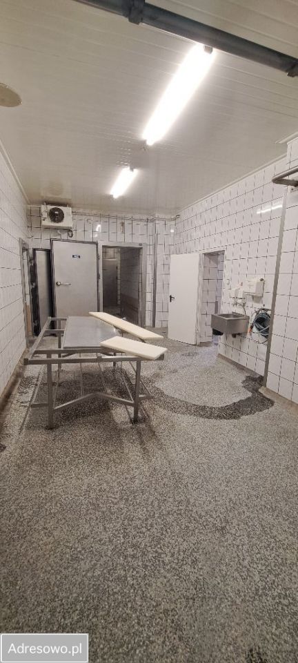 Hala/magazyn Koło, ul. Boguszyniecka. Zdjęcie 17