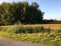 Działka budowlana Krasnołęka. Zdjęcie 3