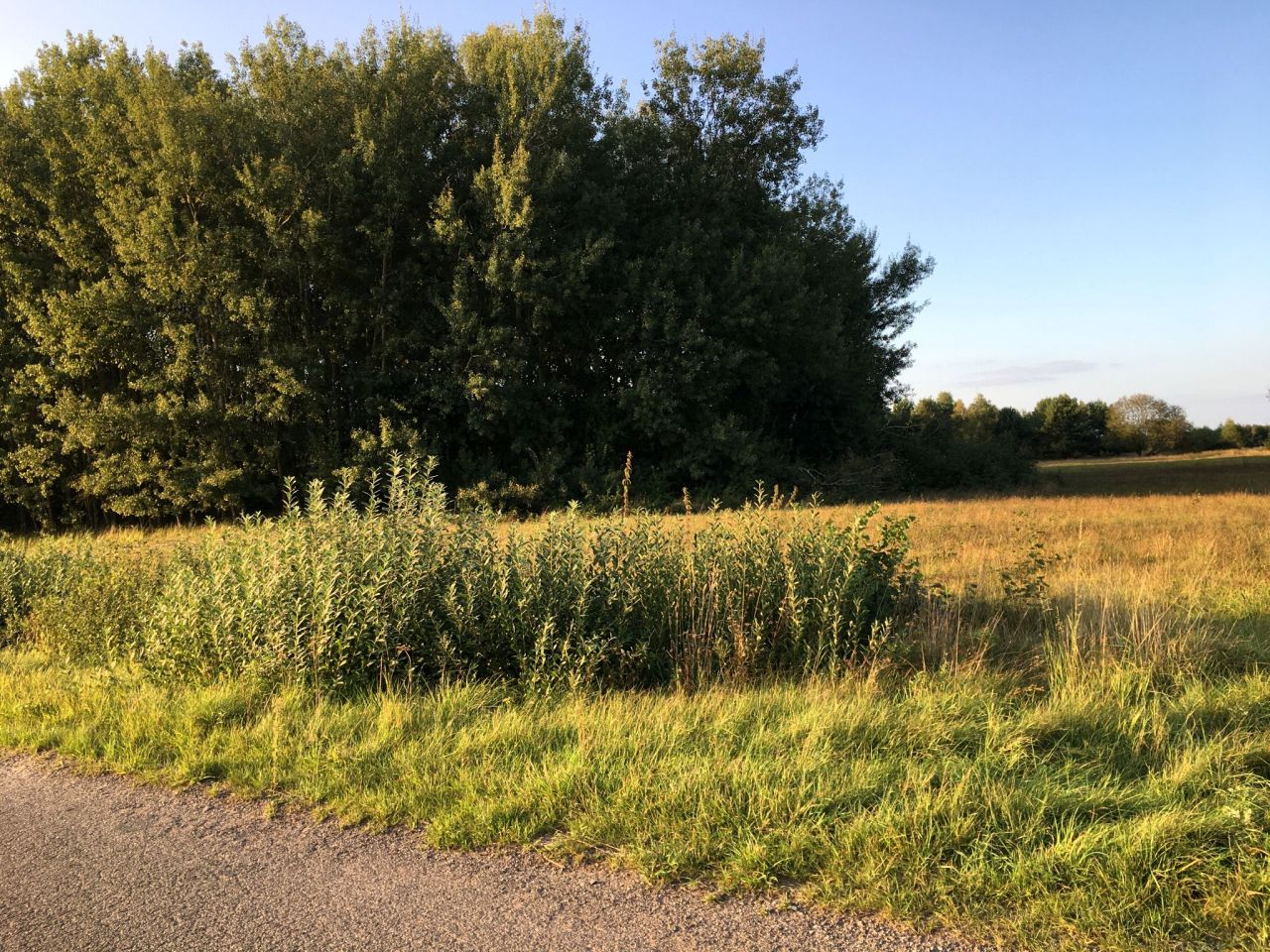 Działka budowlana Krasnołęka. Zdjęcie 4