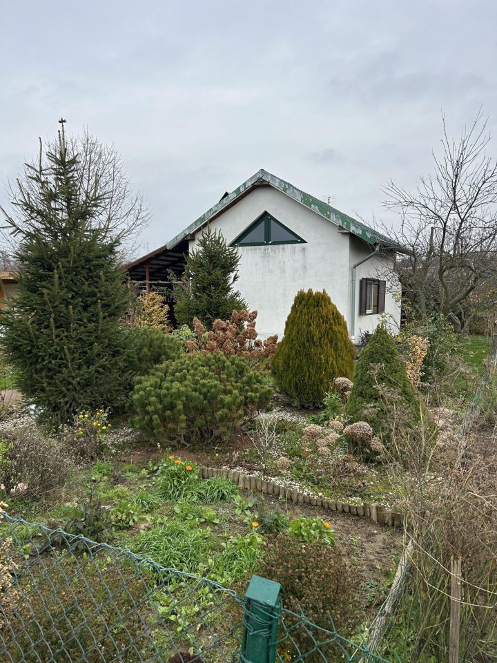 Działka rod Nysa Zamłynie, ul. Adama Mickiewicza. Zdjęcie 13