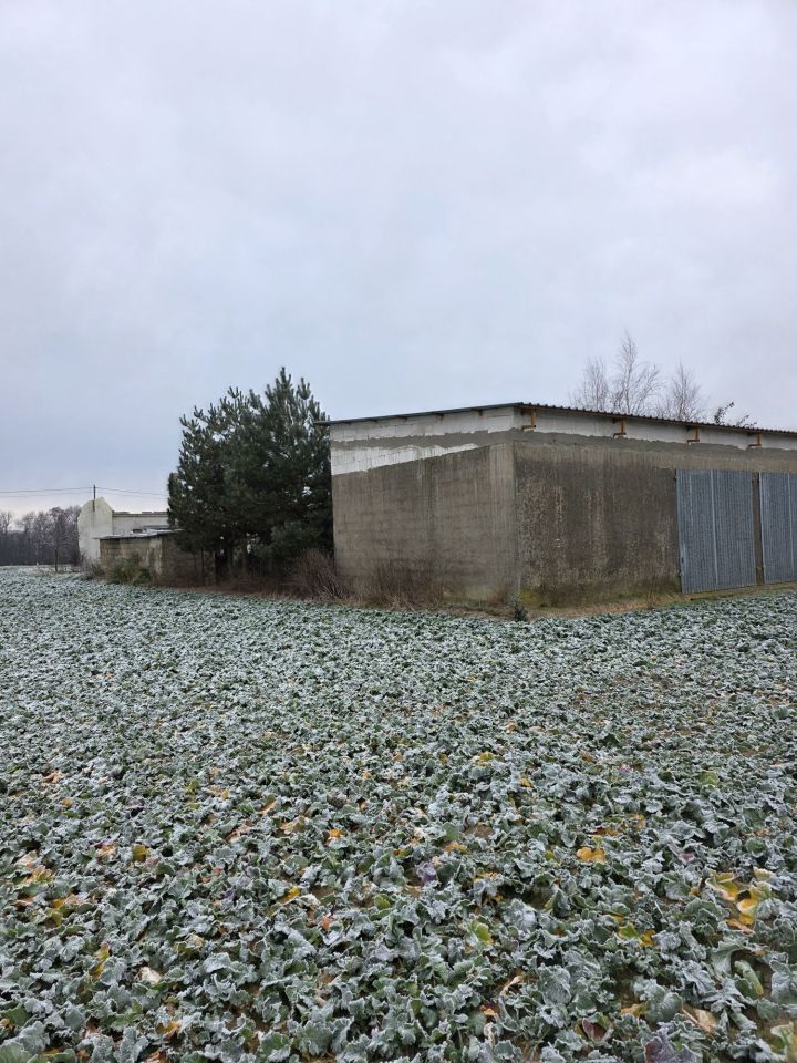 Działka budowlana Stróżewo. Zdjęcie 2