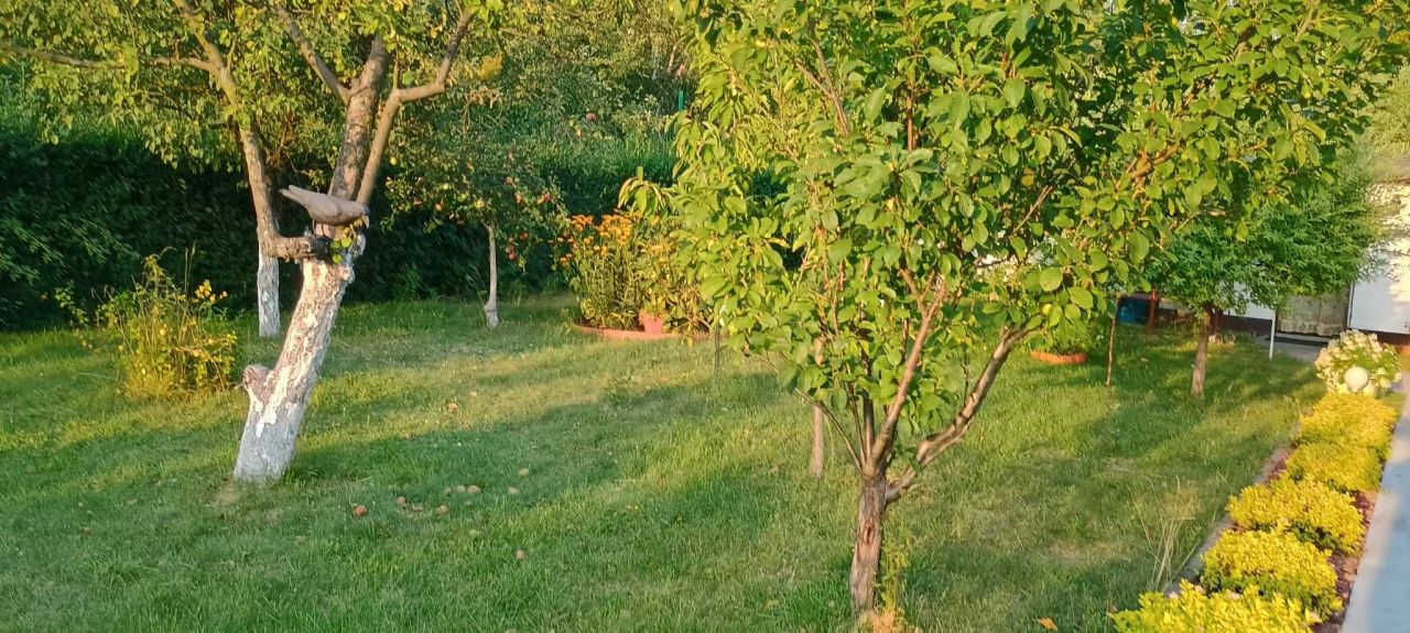 Działka rod Łódź Olechów. Zdjęcie 3