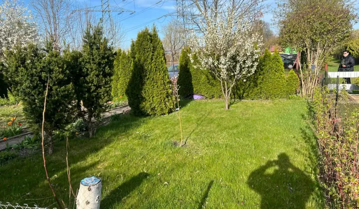 Działka rod Bełchatów, ul. Cegielniana