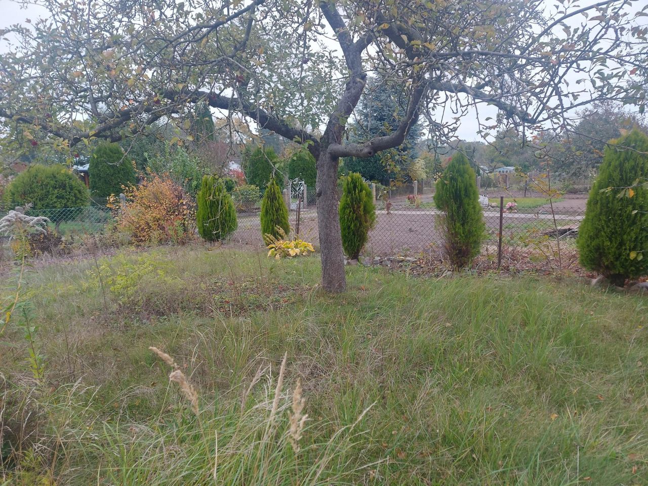 Działka rekreacyjna Stargard Centrum, ul. Tadeusza Kościuszki