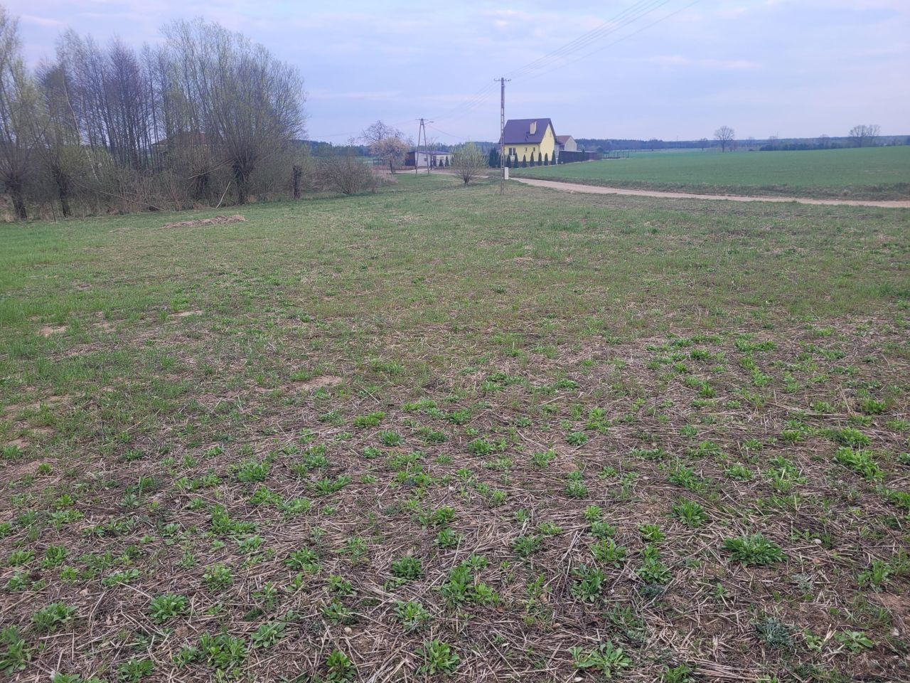 Działka budowlana Żabiczyn