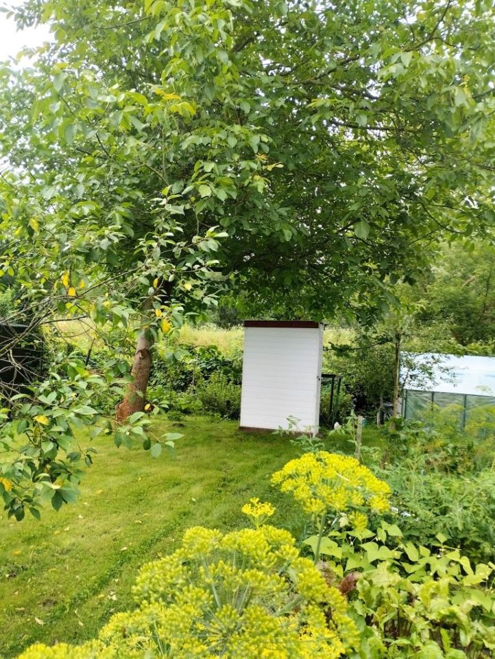 Działka rod Toruń, ul. Stanisława Przybyszewskiego. Zdjęcie 5