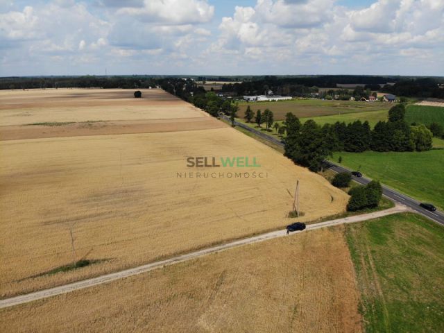 Działka inwestycyjna Złotniki. Zdjęcie 4