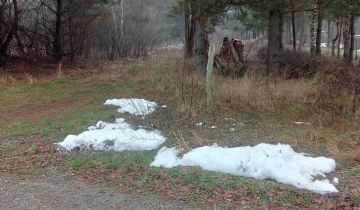 Działka rolno-budowlana Bogoria