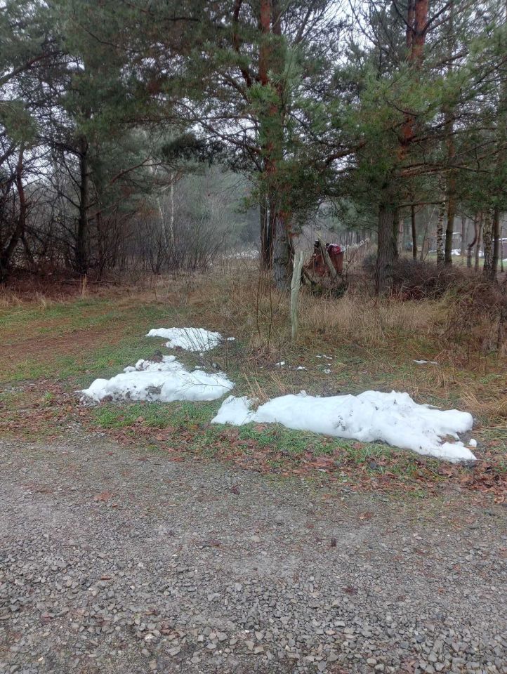 Działka rolno-budowlana Bogoria