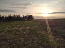 Działka rolno-budowlana Kępie. Zdjęcie 2