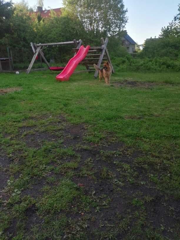 dom wolnostojący, 4 pokoje Nowy Dwór Wejherowski. Zdjęcie 5