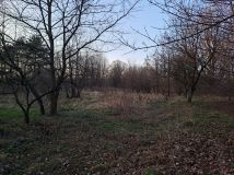 Działka inna Kędzierzyn-Koźle Blachownia Śląska, ul. Przyjaźni. Zdjęcie 4