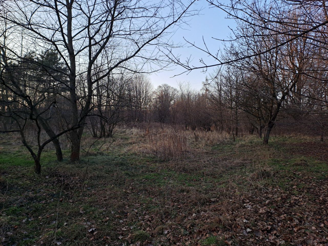 Działka inna Kędzierzyn-Koźle Blachownia Śląska, ul. Przyjaźni. Zdjęcie 5