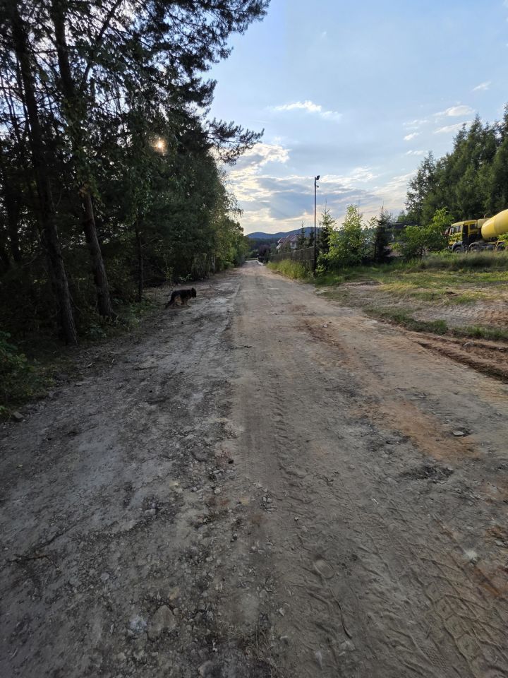 Działka inwestycyjna Suków Borki. Zdjęcie 2