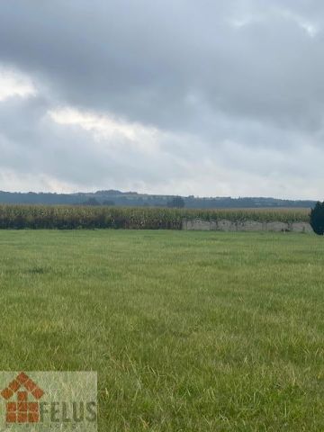 Działka inwestycyjna Rybna, ul. Storczykowa. Zdjęcie 4