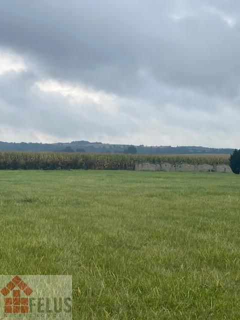 Działka inwestycyjna Rybna, ul. Storczykowa. Zdjęcie 4