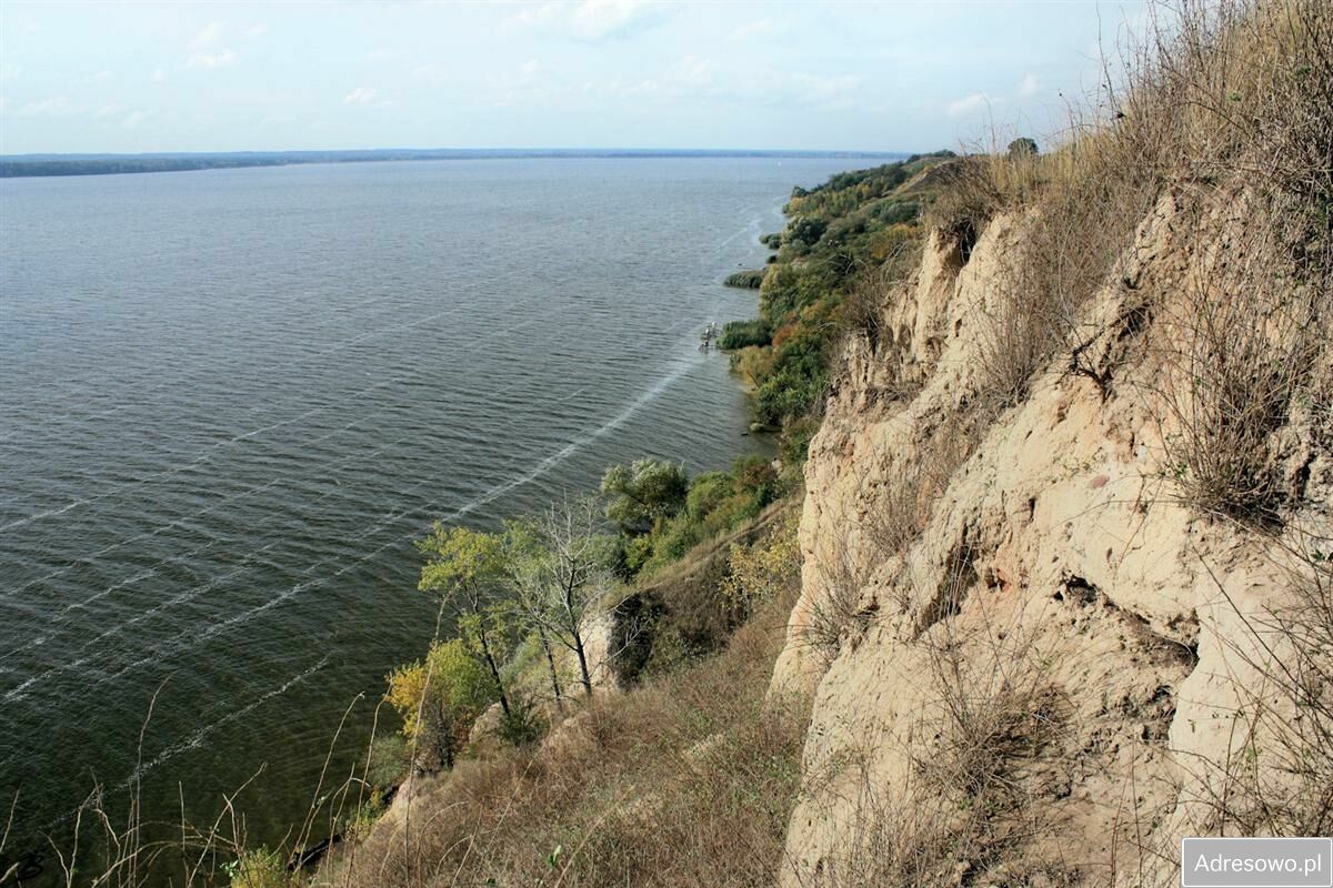 Działka siedliskowa Bachorzewo. Zdjęcie 11