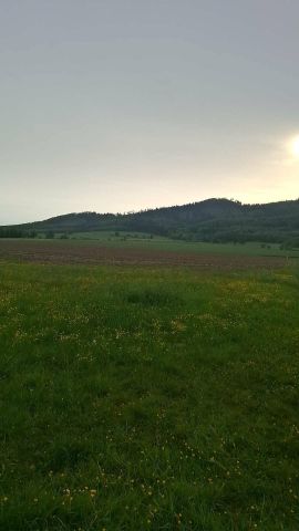 Działka budowlana Laski. Zdjęcie 1