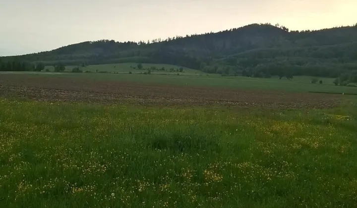 Działka budowlana Laski