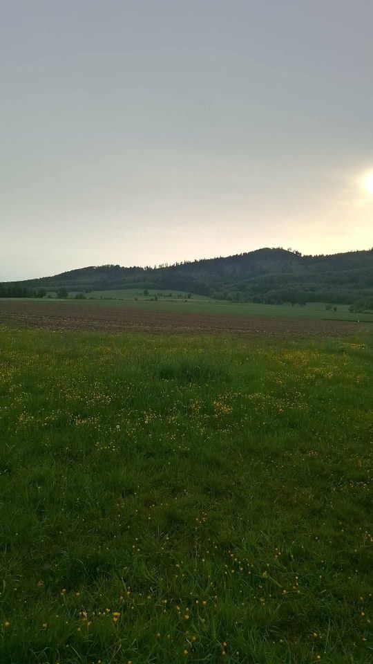 Działka budowlana Laski. Zdjęcie 1