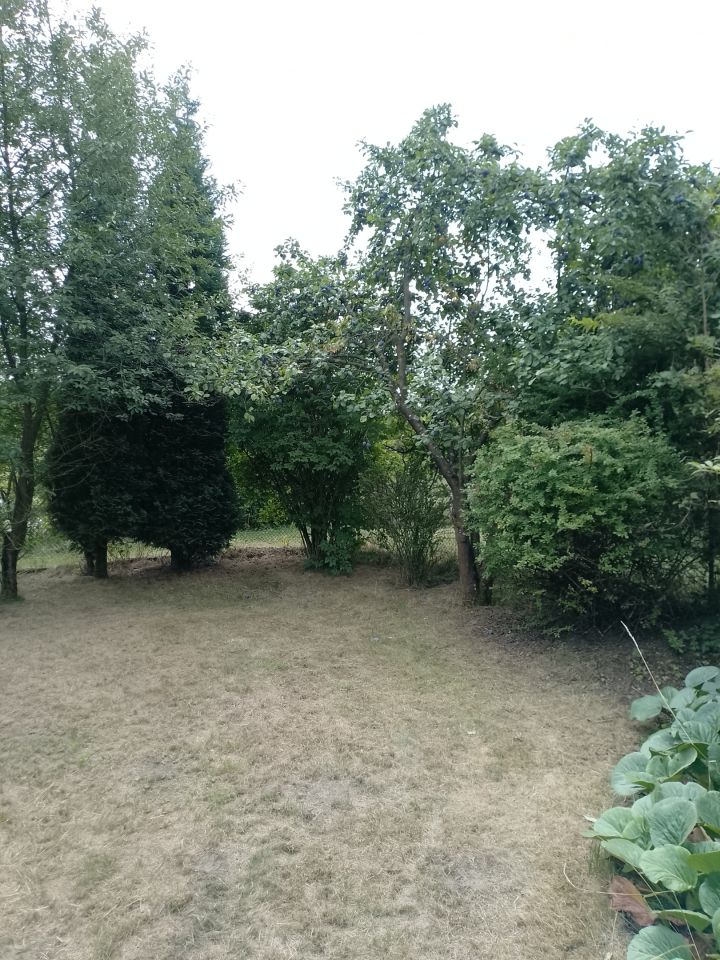 Działka rod Szczecin Bukowo, ul. Władysława Nehringa. Zdjęcie 11