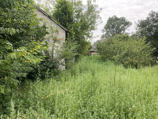 Działka rolno-budowlana Szczawin Borowy-Wieś. Zdjęcie 1