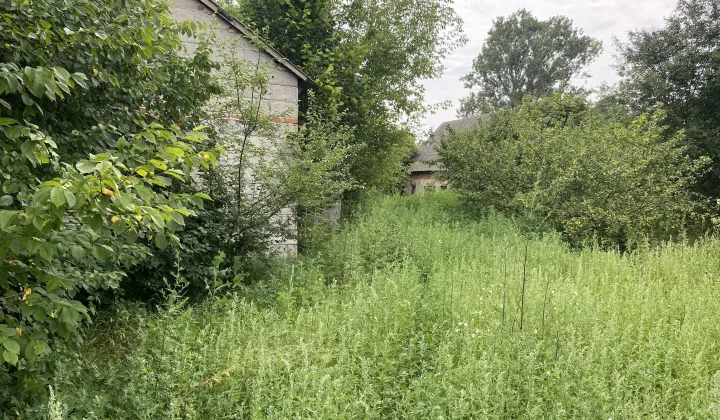 Działka rolno-budowlana Szczawin Borowy-Wieś