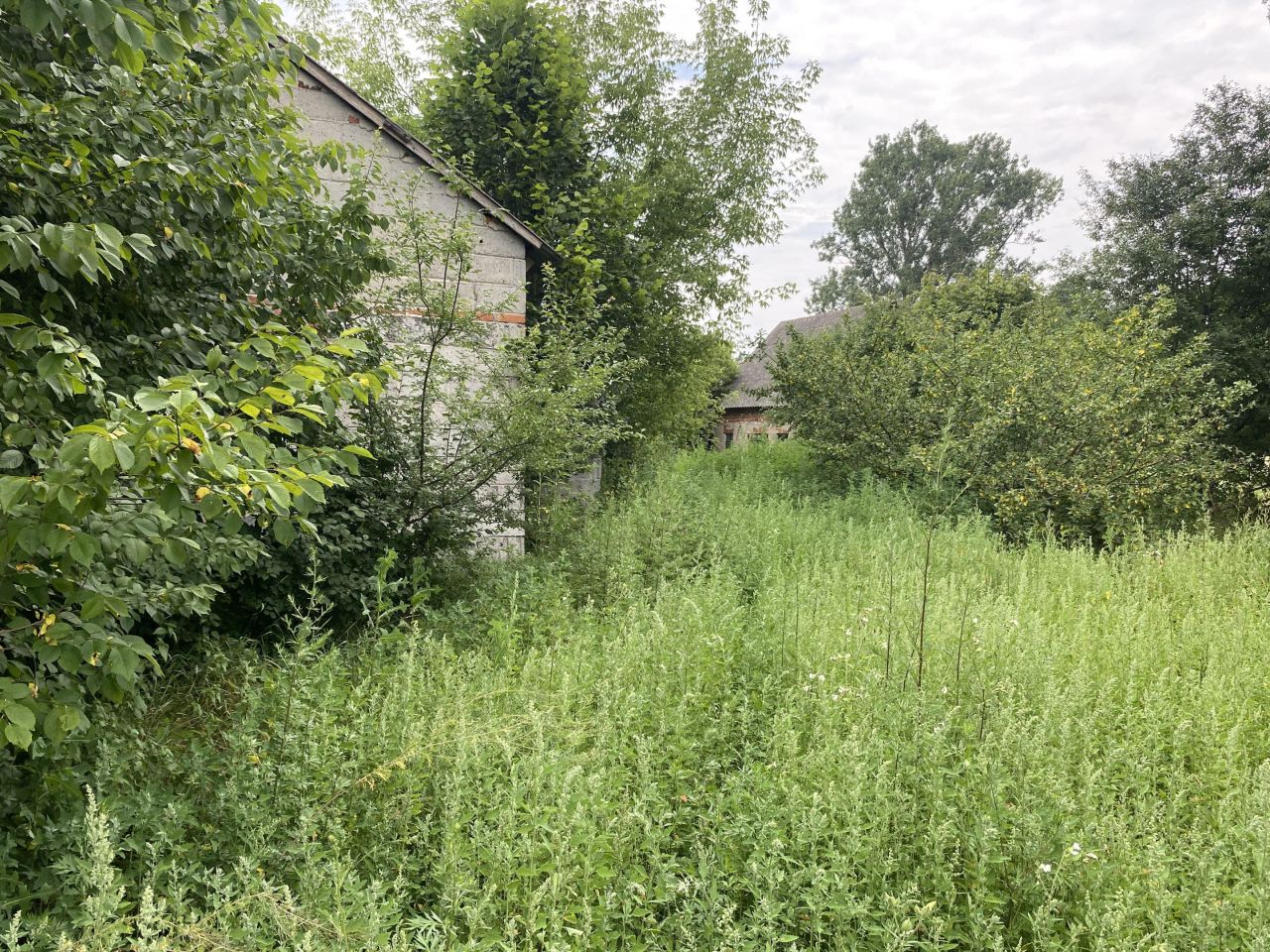 Działka rolno-budowlana Szczawin Borowy-Wieś. Zdjęcie 1