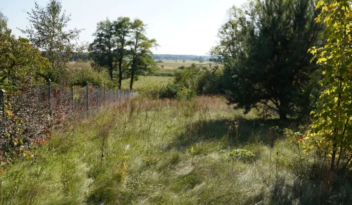Działka budowlana Goryń