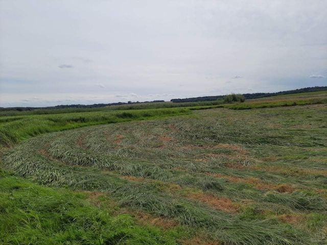 Działka rolna Kwiecewo. Zdjęcie 1