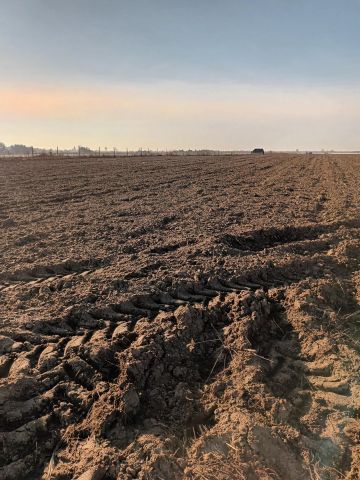 Działka rolno-budowlana Wygoda Smoszewska. Zdjęcie 1