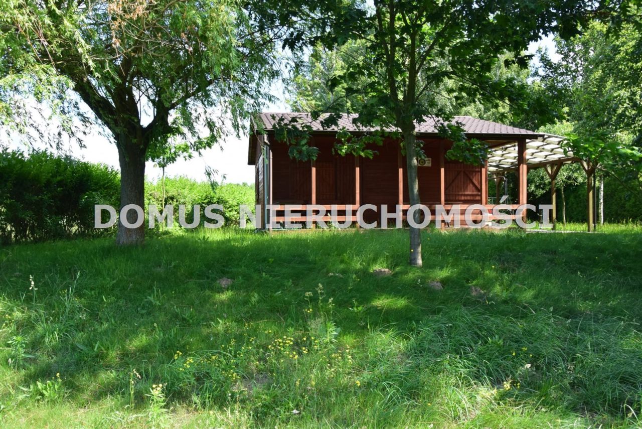 Działka rolna Królewo. Zdjęcie 2