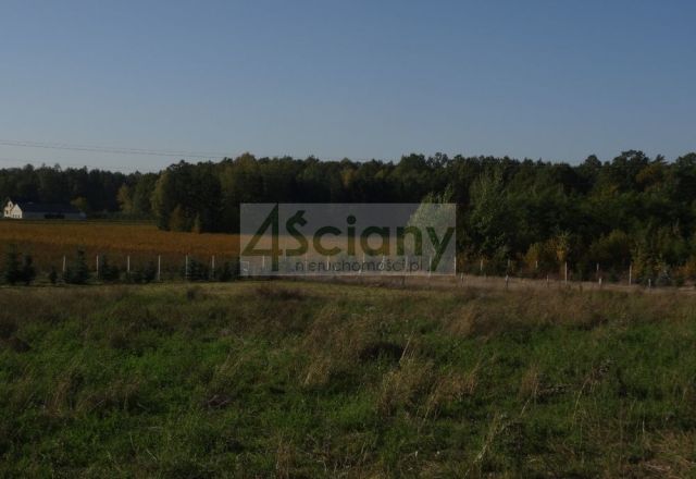 Działka siedliskowa Osuchów. Zdjęcie 16